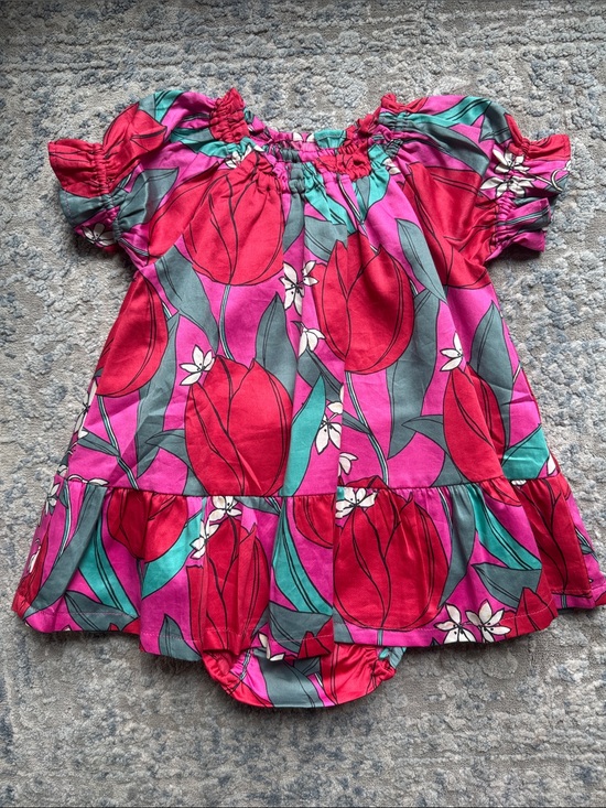 Tea Collection Other - Tea Collection Pink and Red Floral Baby Dress